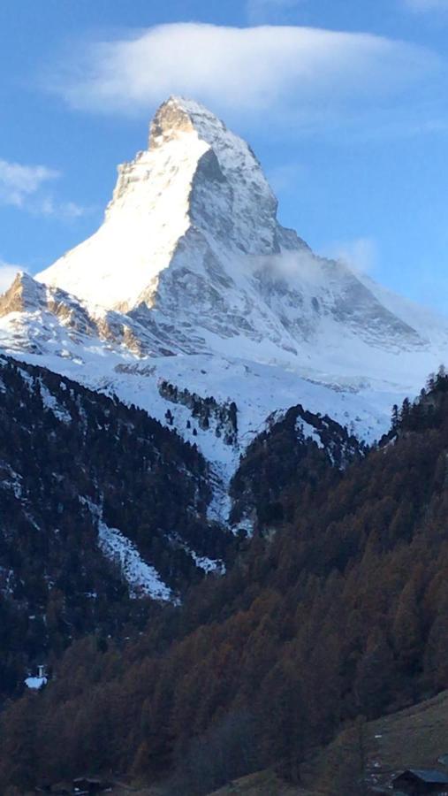 Con Vista Unica Grand'ourse Breuil-Cervinia